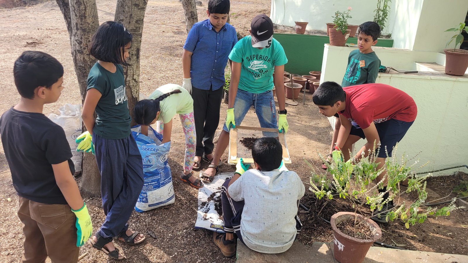 Soil Science Exploration